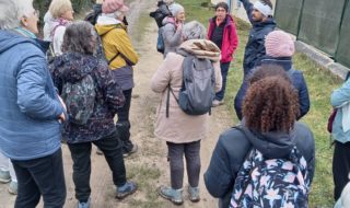 WhatsApp Image 2026-02-05 at 09.1d5.23